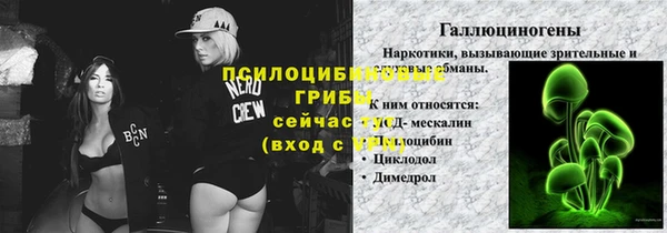 сатива Алзамай