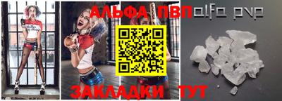 шишки Лесосибирск