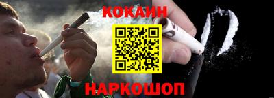 шишки Лесосибирск