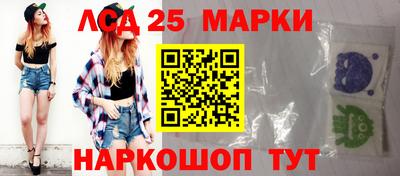 шишки Лесосибирск